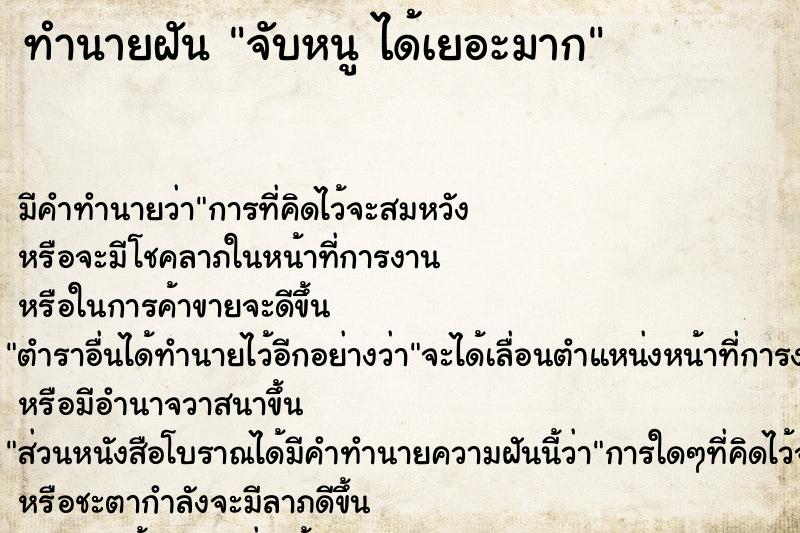 ทำนายฝัน จับหนู ได้เยอะมาก